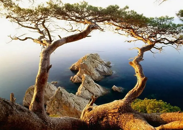 阳光阿波罗酒店 公寓