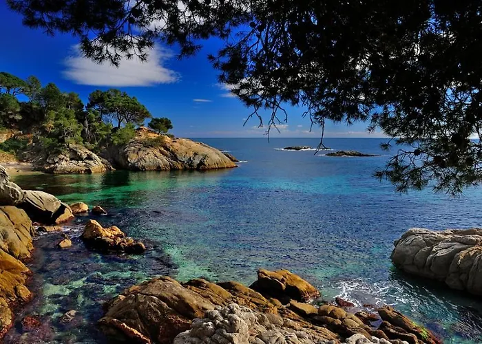 Sun D'aro Appartement Castell-Platja d'Aro