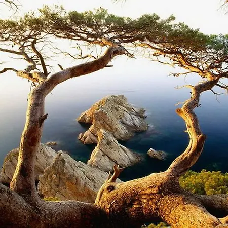 Sun D'aro アパート